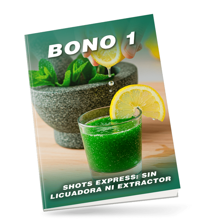 Bono 1 eBook Cover